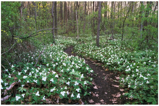 Bikers Path Monroe MI