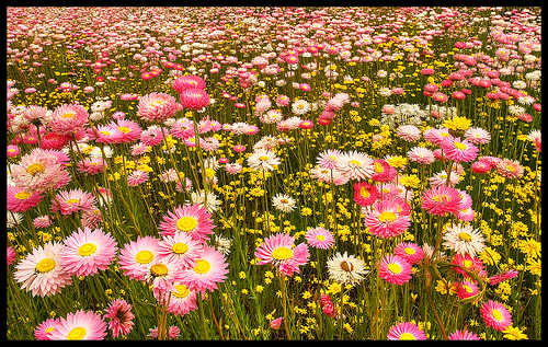 1389996589_620f678cef