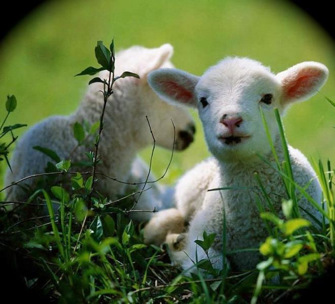 575895_10151372657722602_1756506621_n