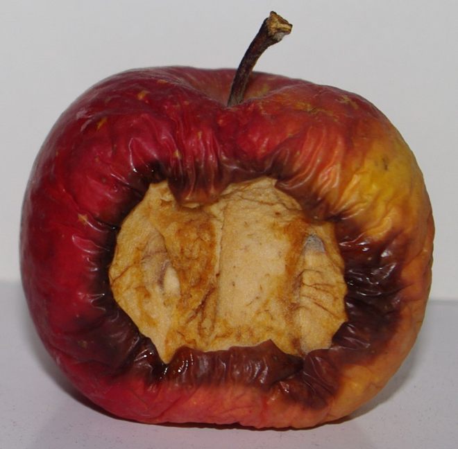rotten-apple 1