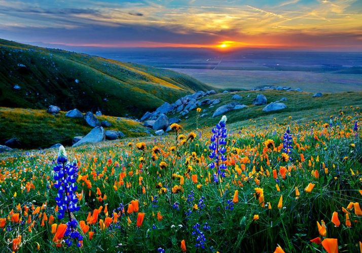 954710_161146747405290_5210466_n