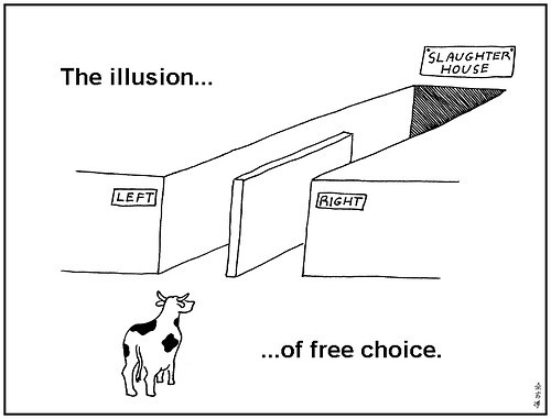 free choice