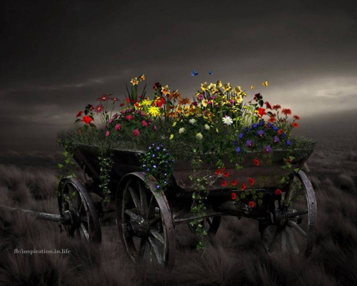 10462636_792063387513292_3806995332233309401_n