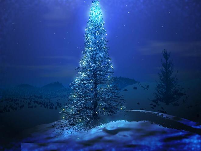 christmas-tree-blue cool